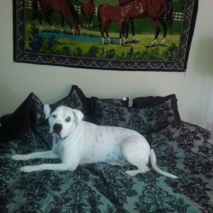 Meet your Posher, Rebecca